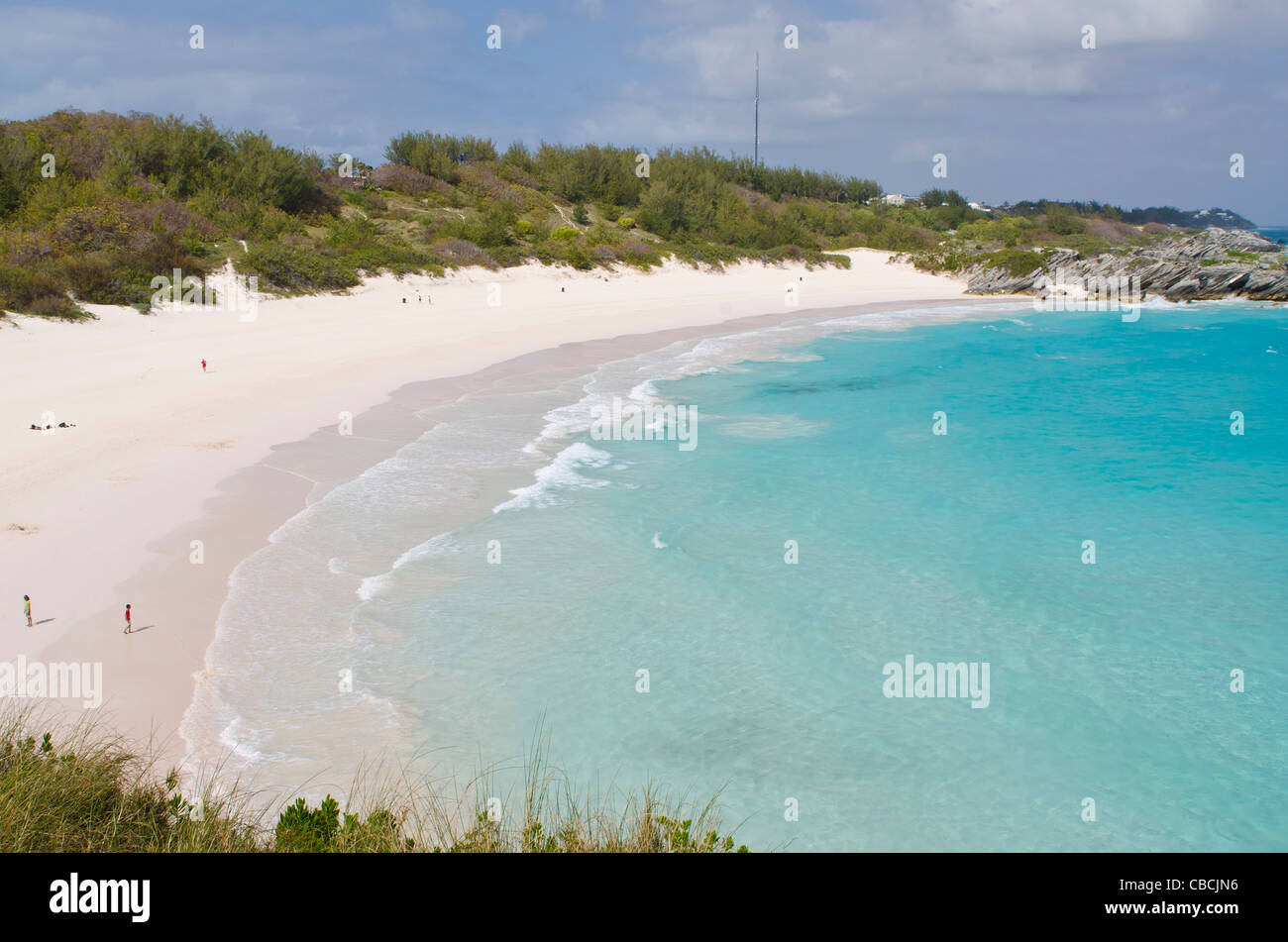 Bermuda. Horseshoe Bay beach, Bermuda Stock Photo Alamy