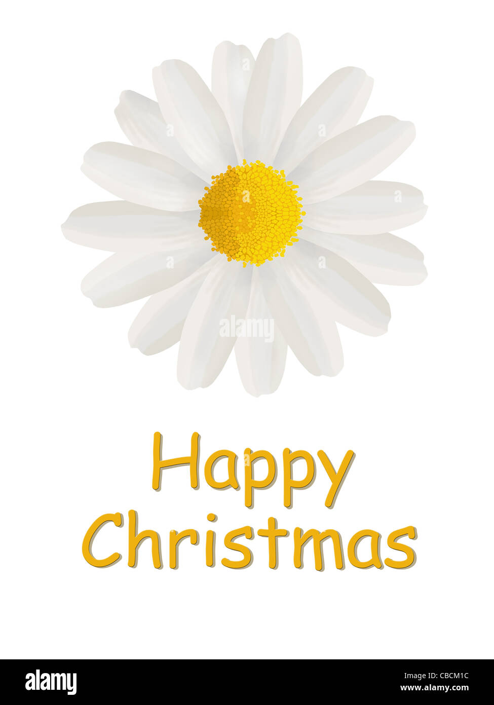 Happy Christmas card with a white daisy isolated on a white background Stock Photo
