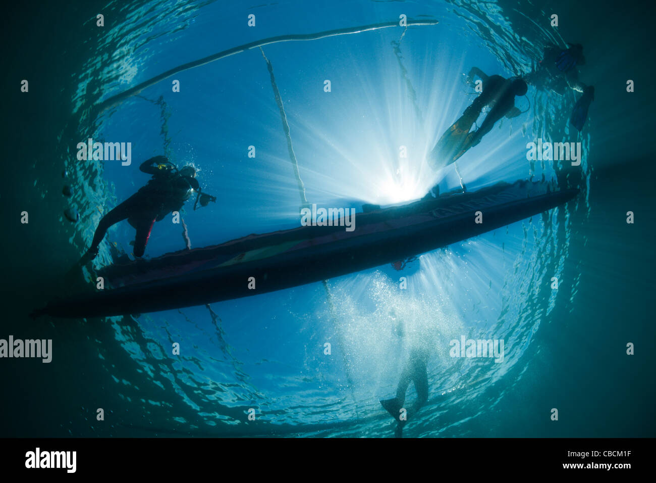 Scuba Divers underneath Outrigger Boat, Cenderawasih Bay, West Papua, Indonesia Stock Photo