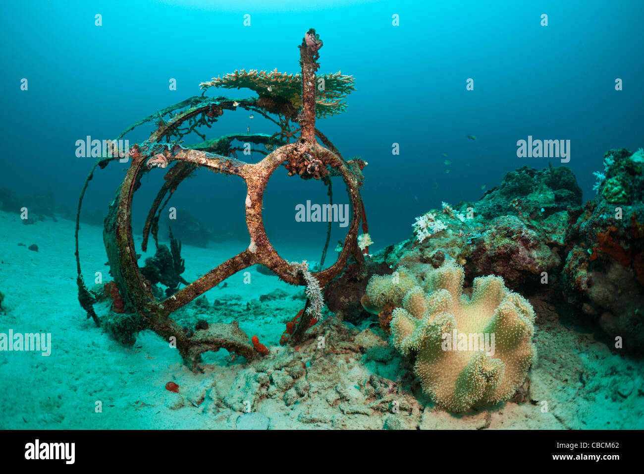 Aeroplane Wreckage at Ahe Housreef, Cenderawasih Bay, West Papua, Indonesia Stock Photo