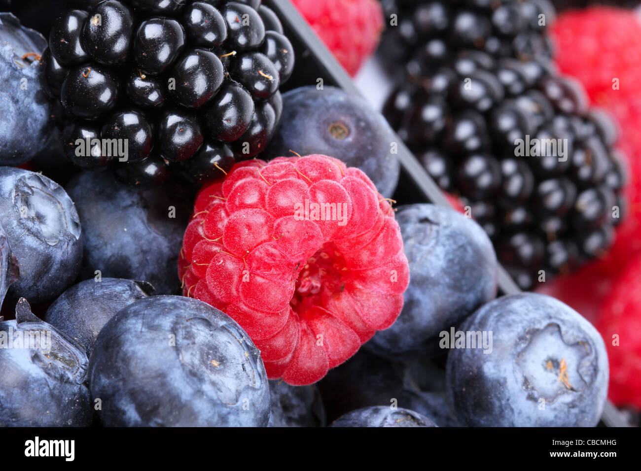 Whortleberry, raspberry and blackberry, closeup Stock Photo