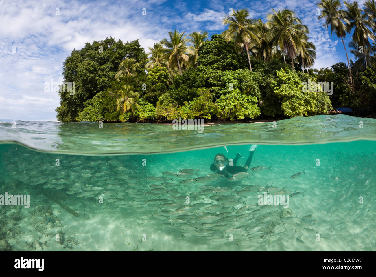 Snorkeling in Lagoon of Ahe Island, Cenderawasih Bay, West Papua, Indonesia Stock Photo