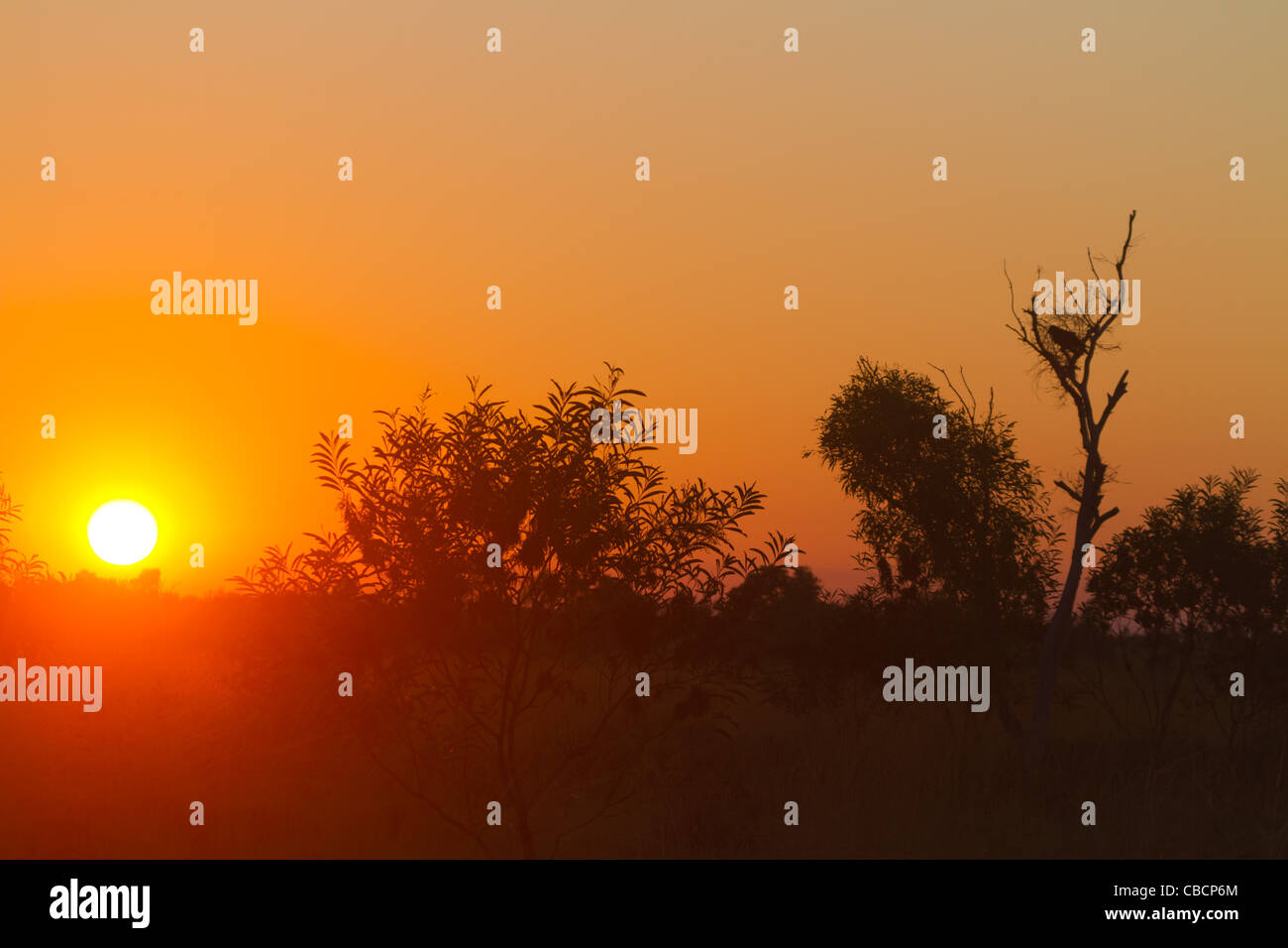 Sunrise Wolfe Crater National Park Stock Photo