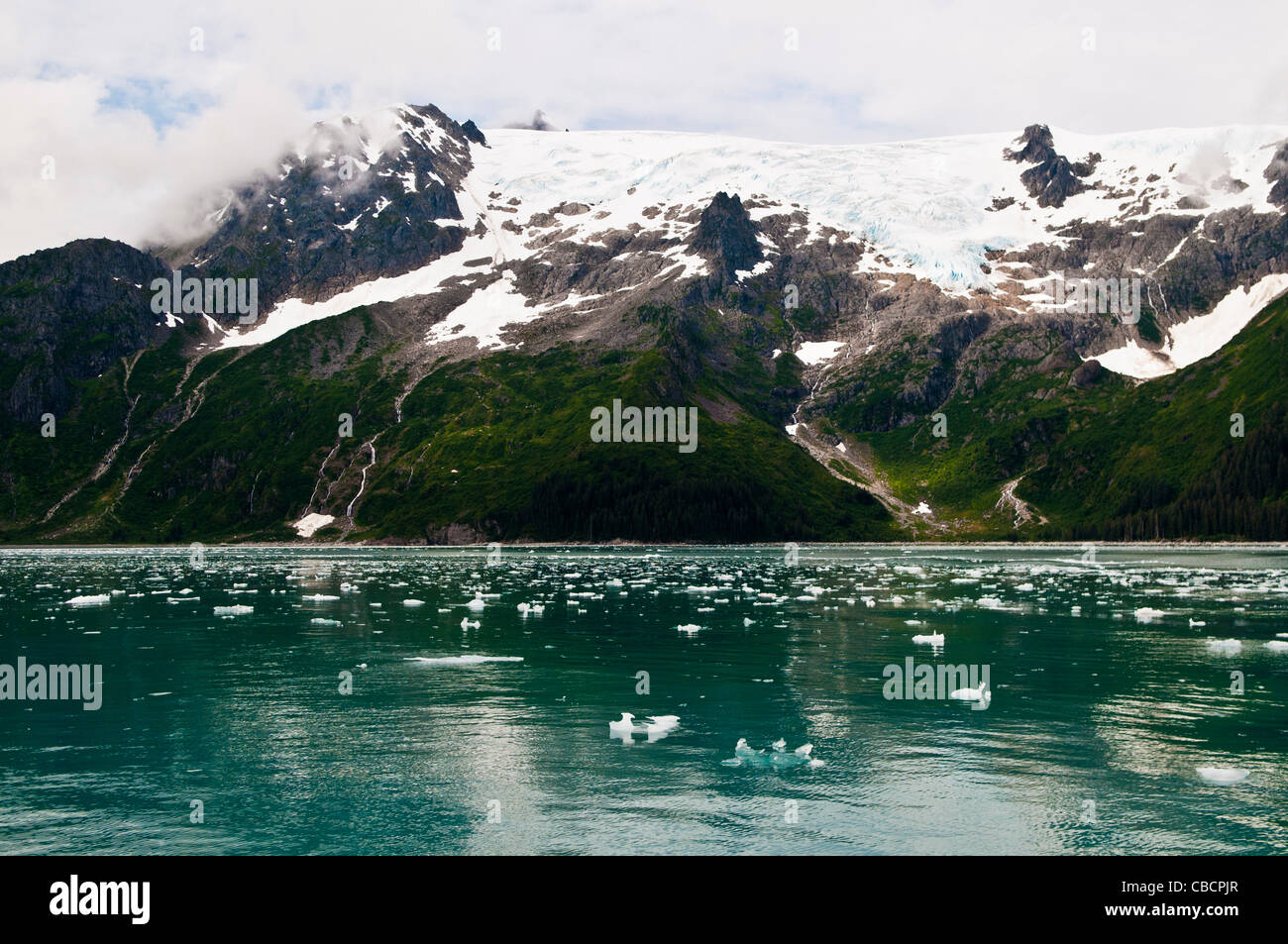 Glacier & sea ice, Holgate Arm, Kenai Fjords National Park, Alaska ...