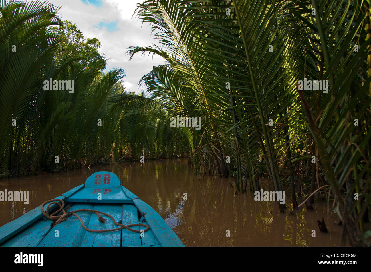 Traditional Mekong river delta boat gliding down the canal encircled with palm trees near  Tan Thach, Ben Tre, Soutern Vietnam Stock Photo