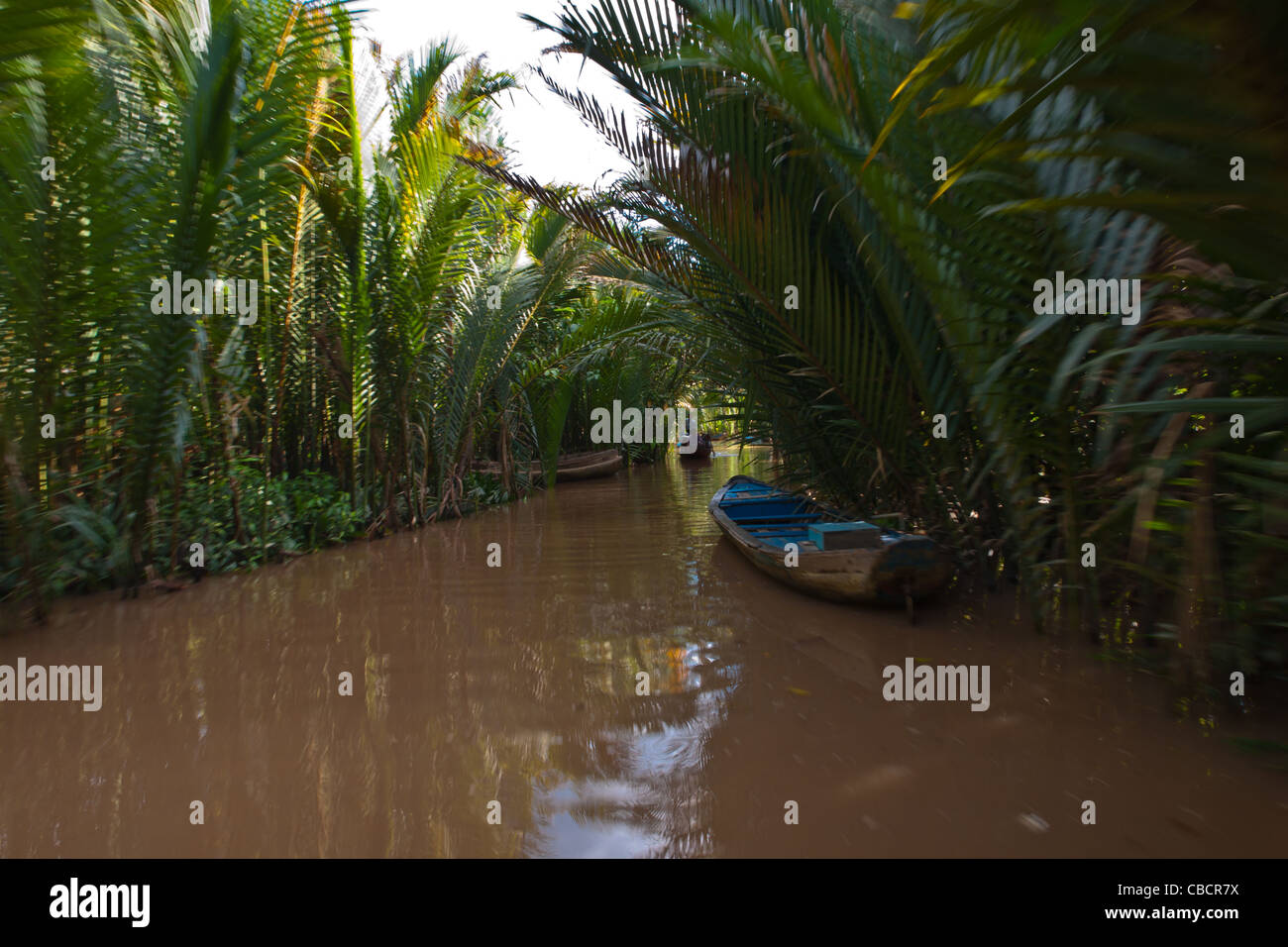Traditional Mekong river delta boat moored to the palm tree on the river canal near Tan Thach, Ben Tre, Soutern Vietnam Stock Photo