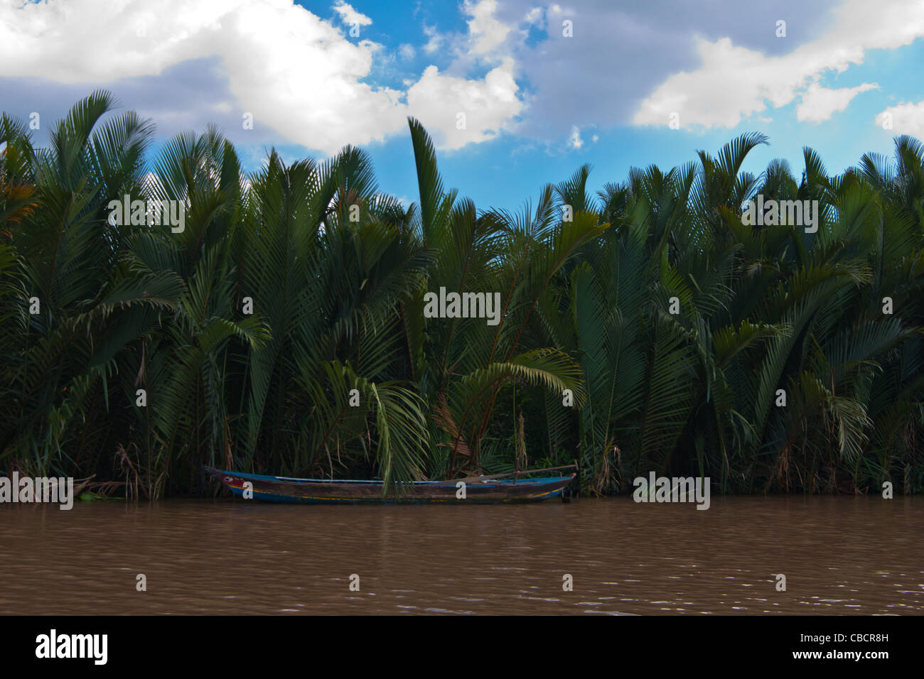 A boat attached to palm tree in Tan Thach near Ben Tre in Mekong Delta at the hearth of Southern Vietnam Stock Photo