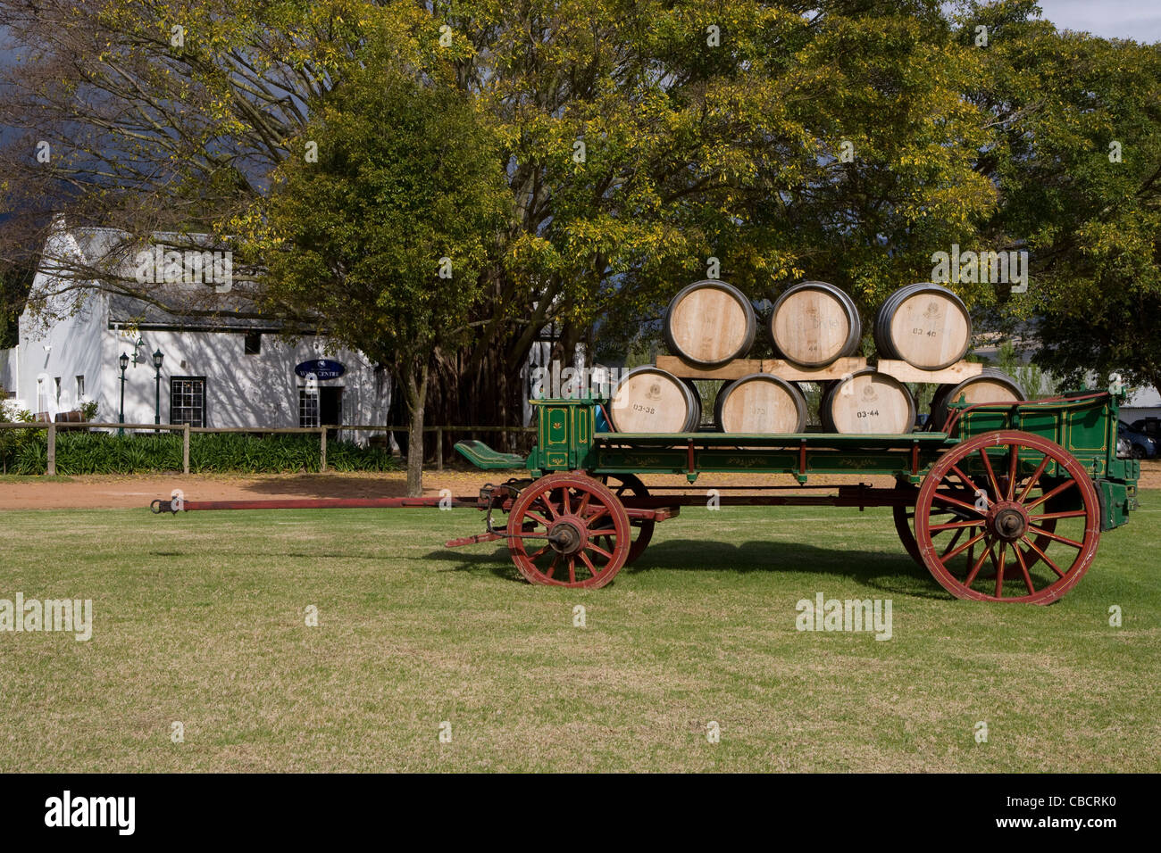 Stellenbosch: Blaauwklippen Estate - approach to wine tasting cellar Stock Photo