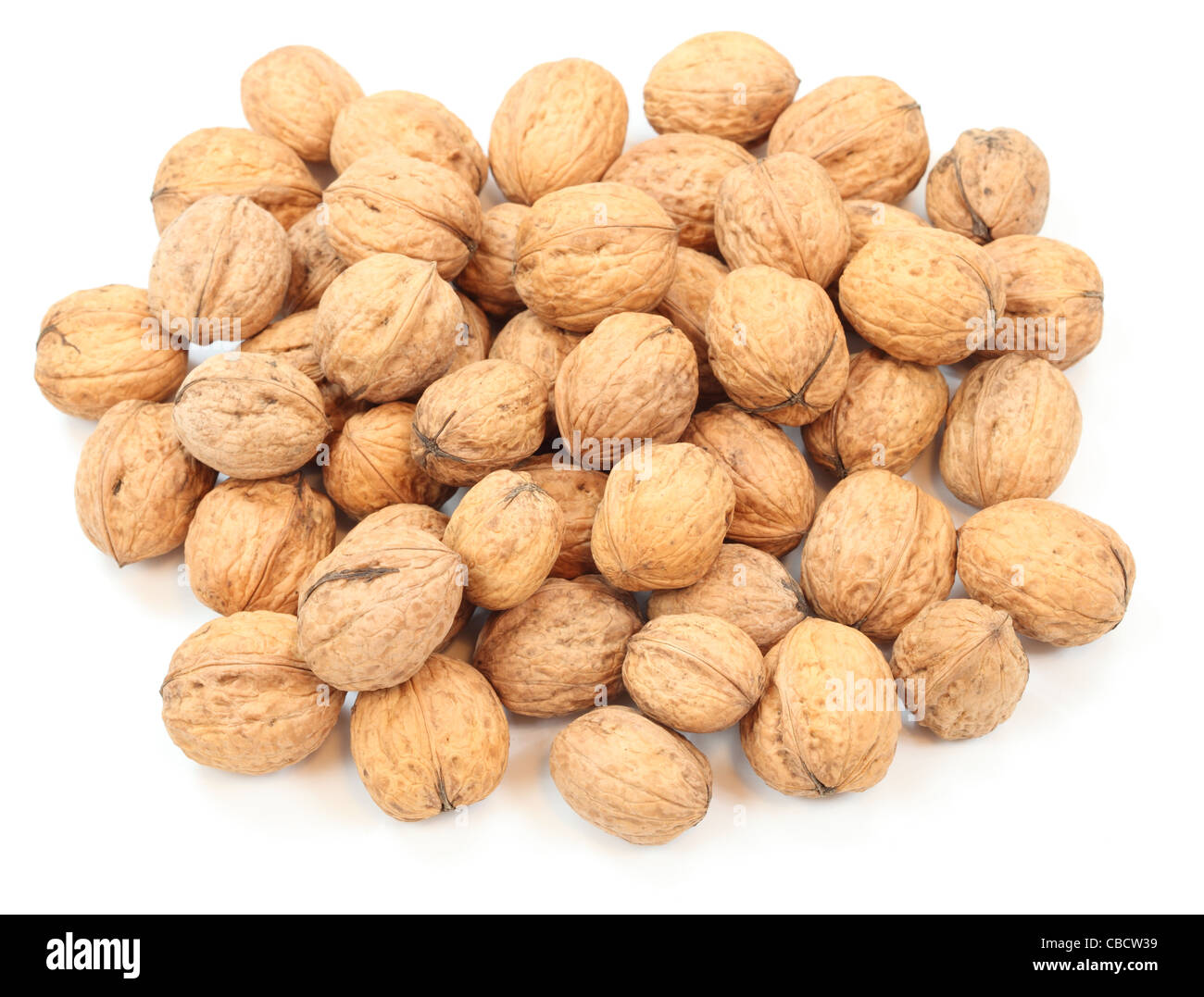 Cob nut nuts hires stock photography and images Alamy