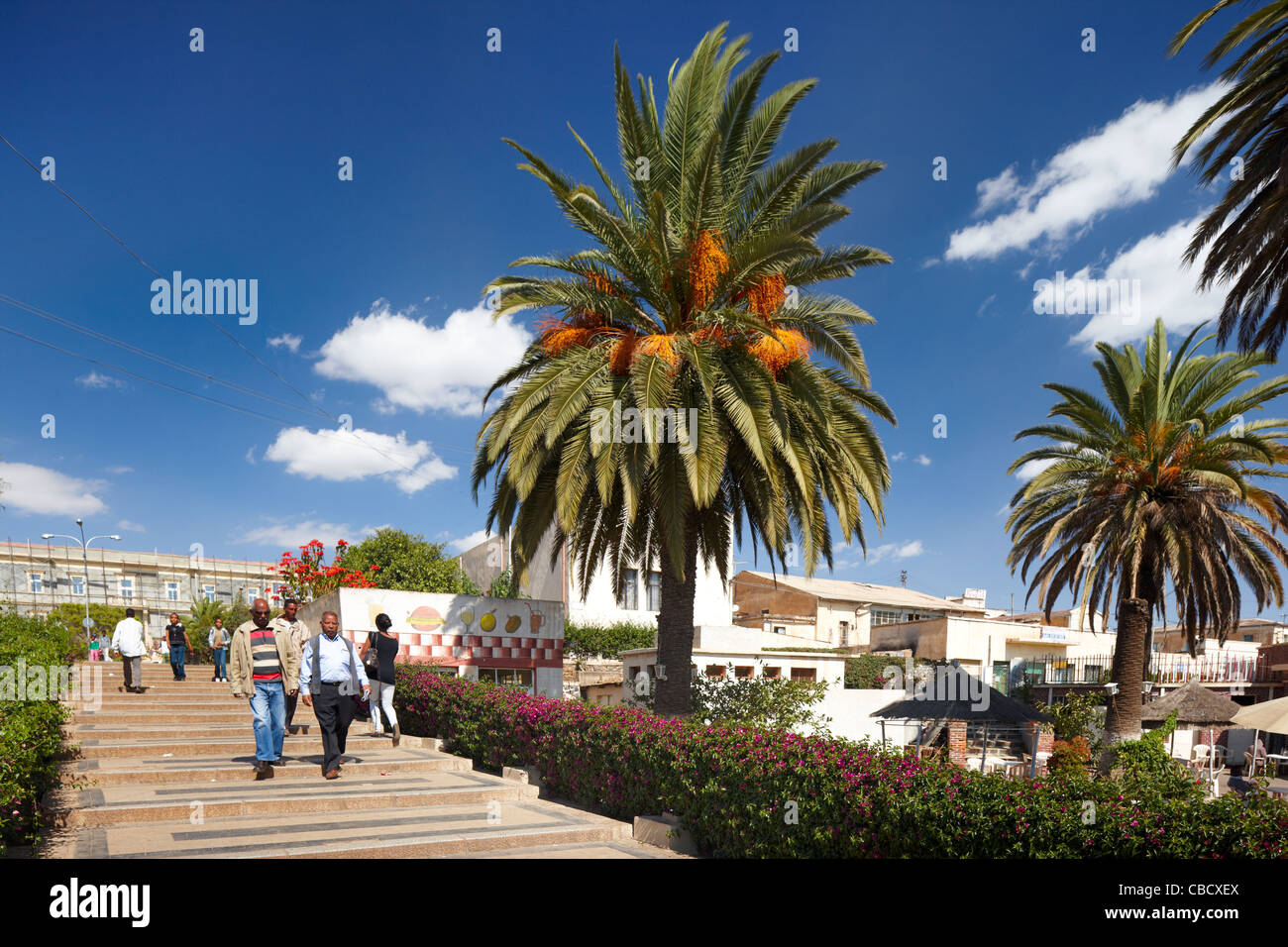 City Park, Asmara, Eritrea, Africa Stock Photo