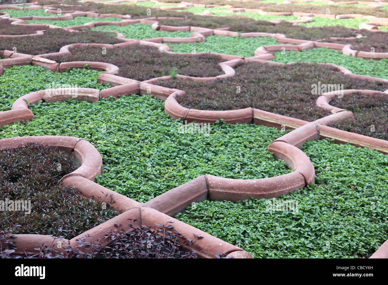flowerbed,flora,plants,manicured,lawn,Red Fort,Agra,India Stock Photo