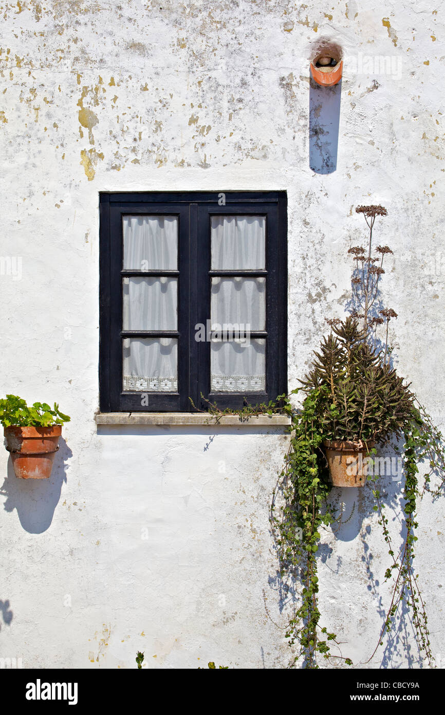 Black Wood Window With Lace Curtains Stock Photo 41466806 Alamy