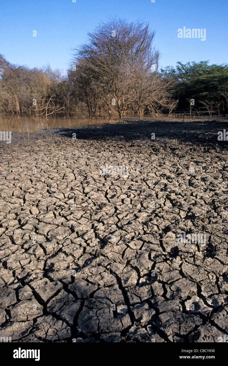 Dried up water hole in Monduli Arusha Region Tanzania Stock Photo