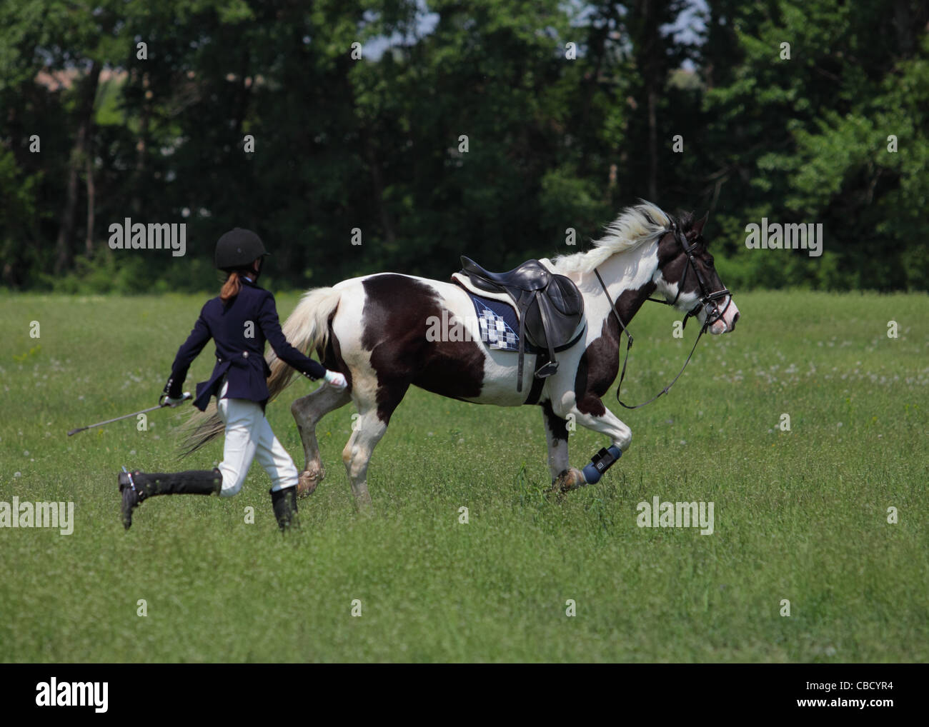 Riderless horse hires stock photography and images Alamy