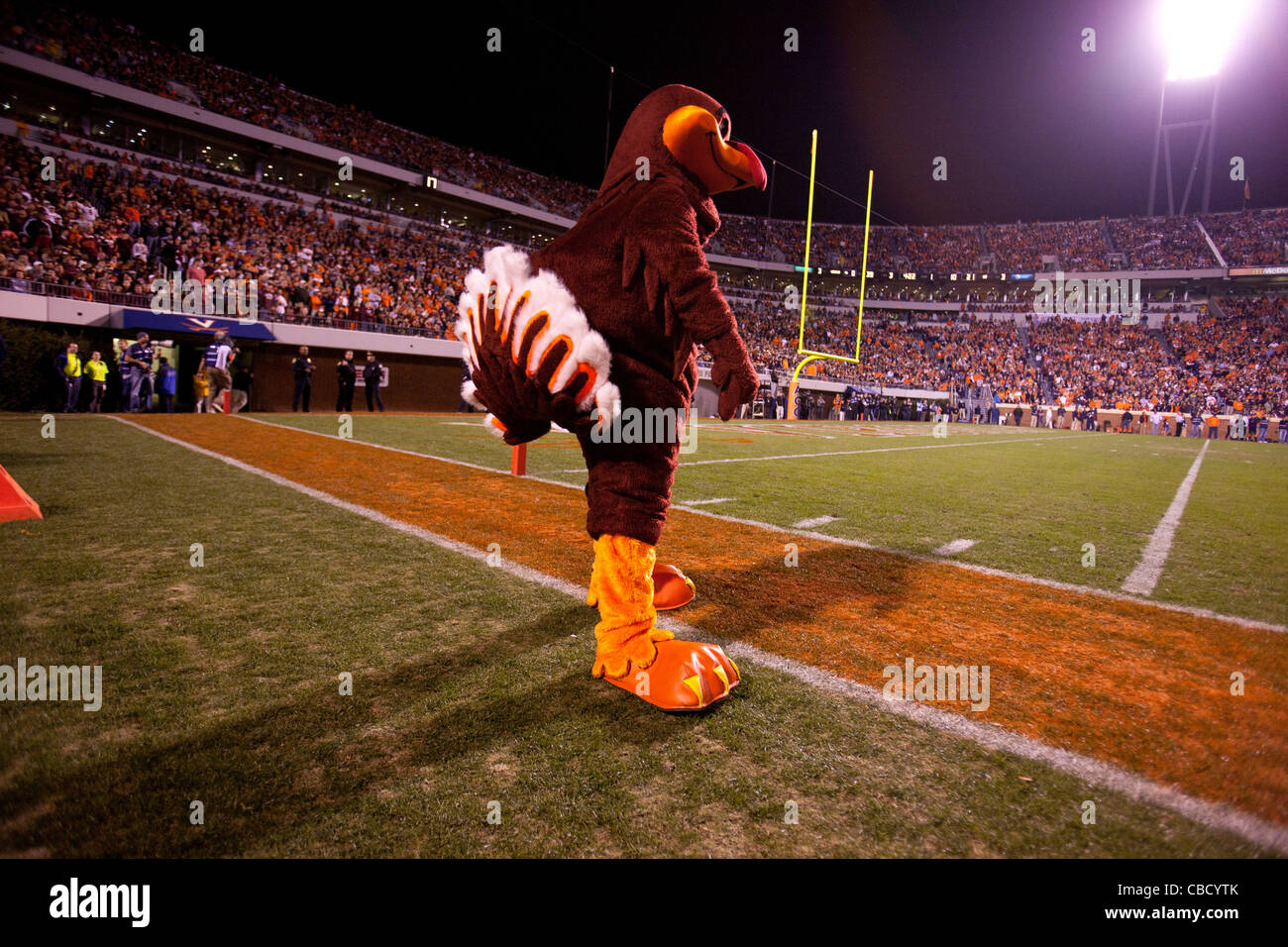 The Virginia Tech Hokies mascot on the sidelines during the fourth quarter at Scott Stadium, Charlottesville, Virginia, United States of America Stock Photo