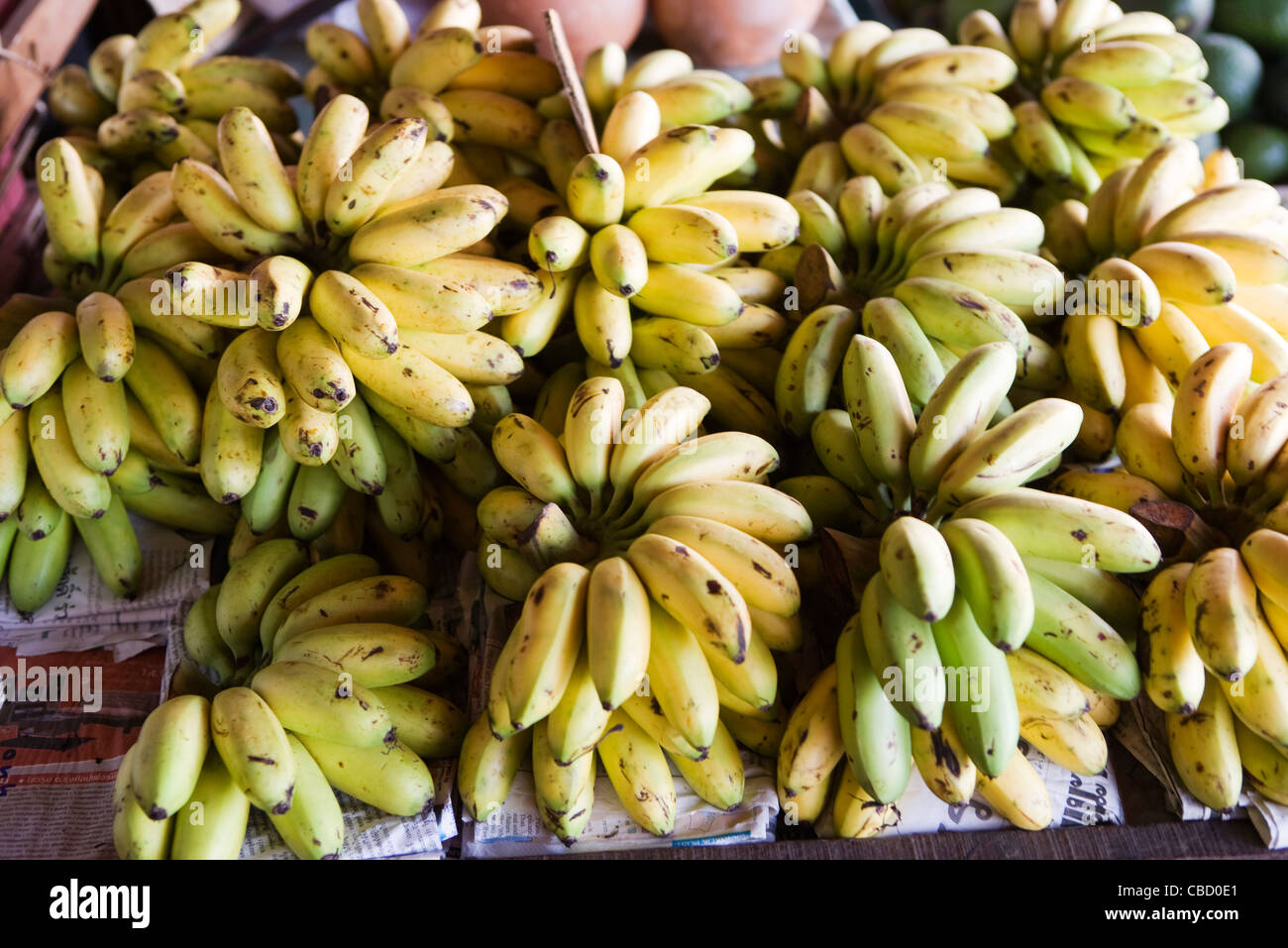 Fresh bananas in market Stock Photo