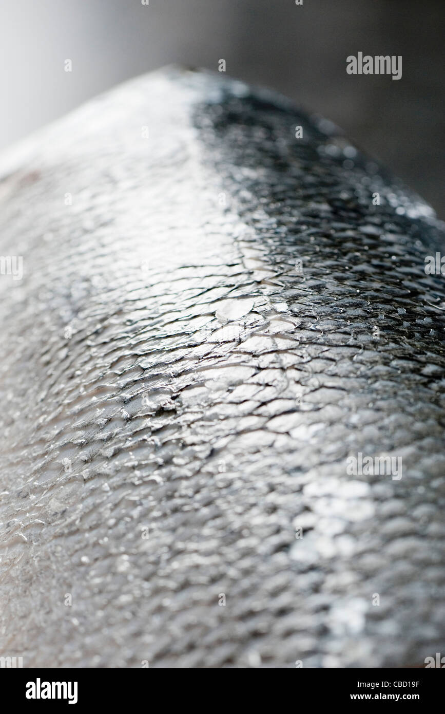 Fish scales, closeup Stock Photo Alamy