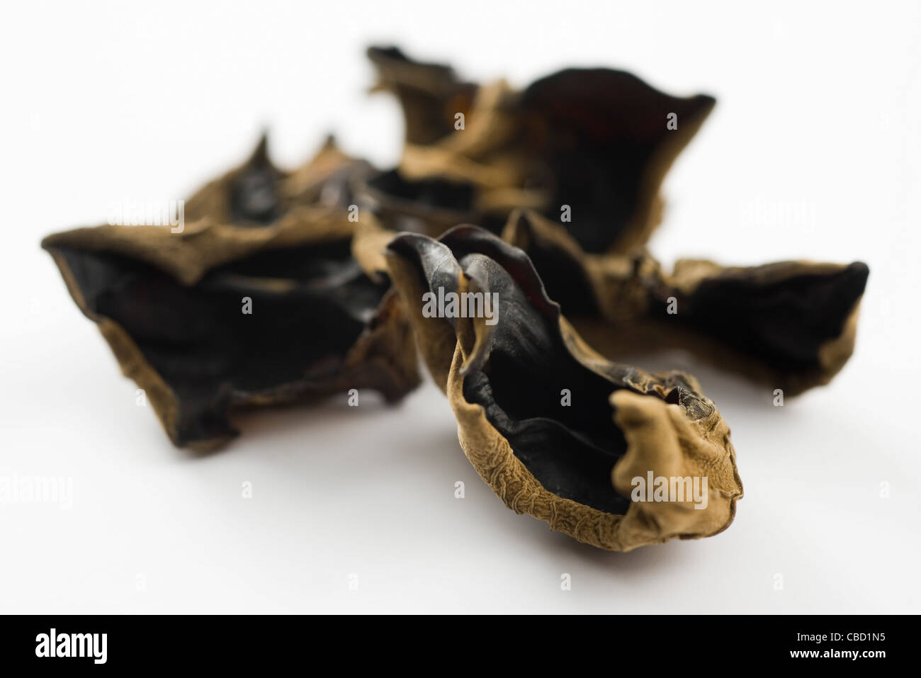 Dried wood ears (Auricularia polytricha Stock Photo Alamy