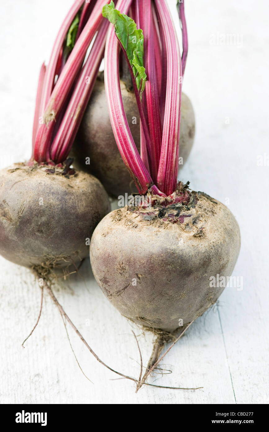 Fresh beets Stock Photo