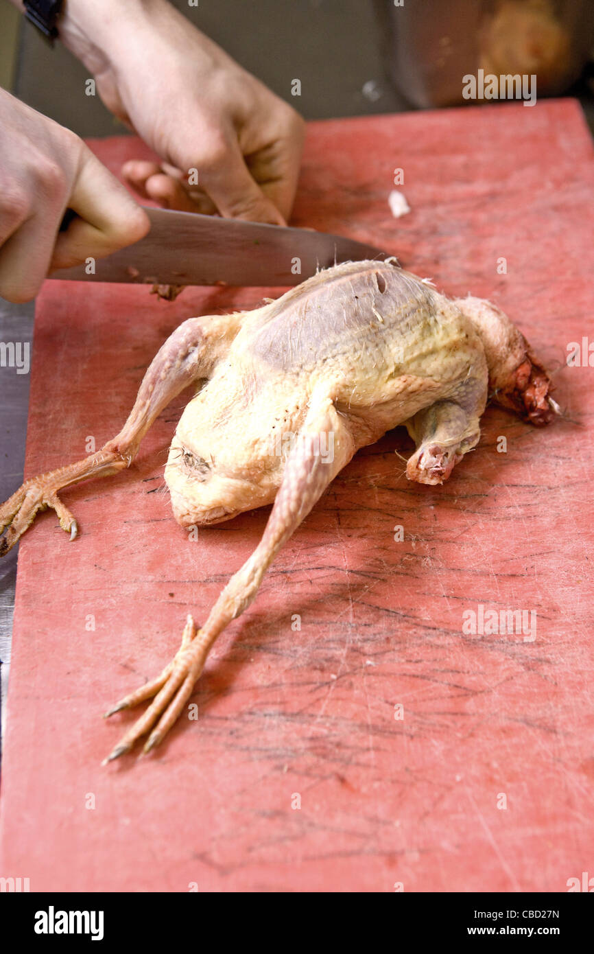 Person cutting squab, cropped Stock Photo