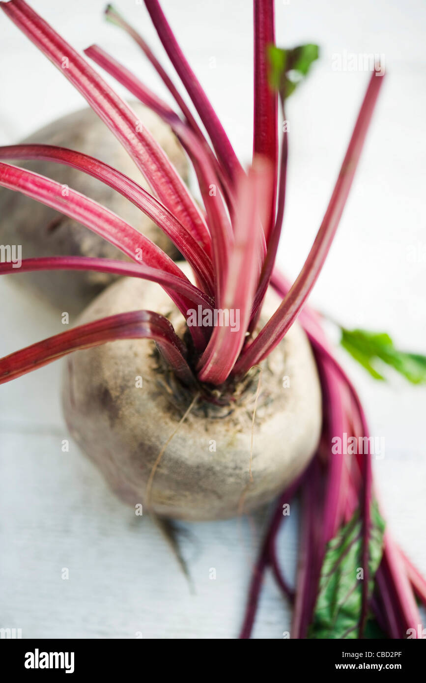 Beets Stock Photo