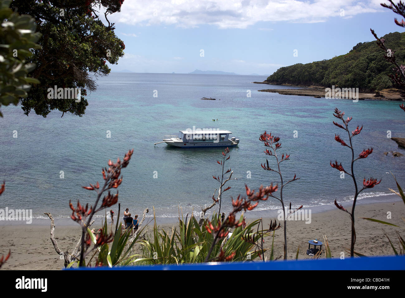 The Glass Bottom Boat at Goat Island Marine Reserve, Leigh, world