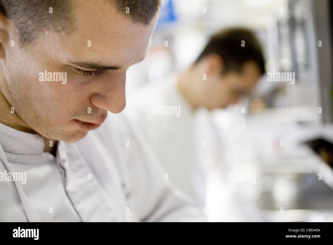 Chefs working in commercial kitchen Stock Photo
