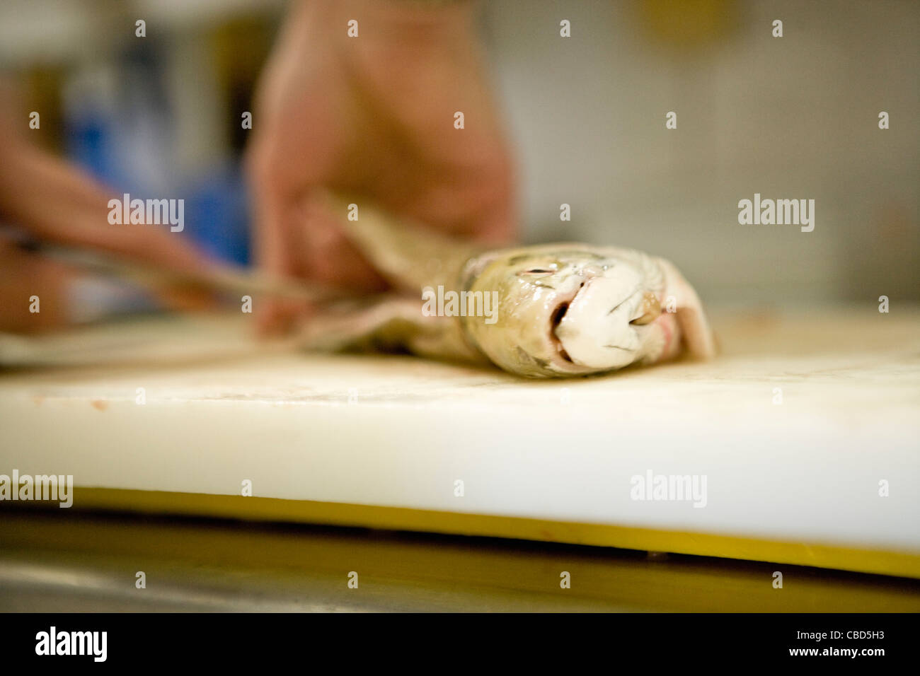 Raw fish being cleaned Stock Photo Alamy
