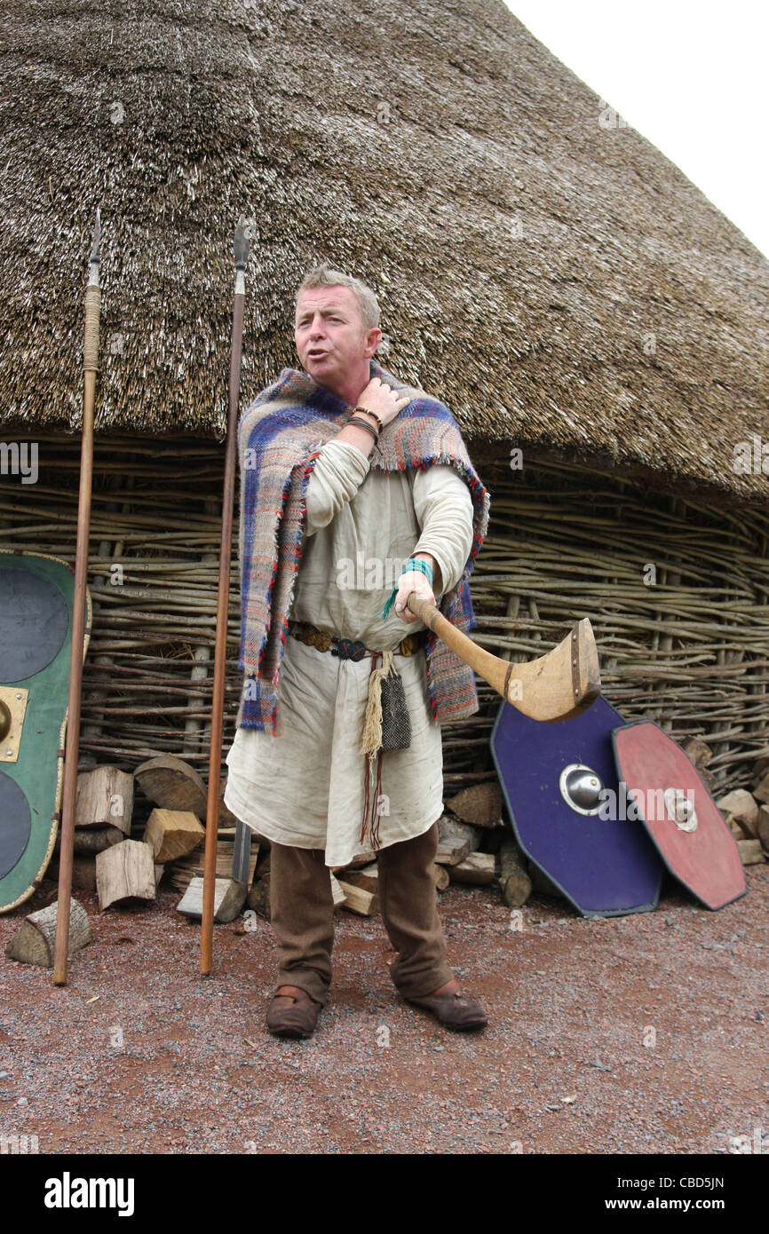 Celtic Ireland in the Iron Age: the Celts