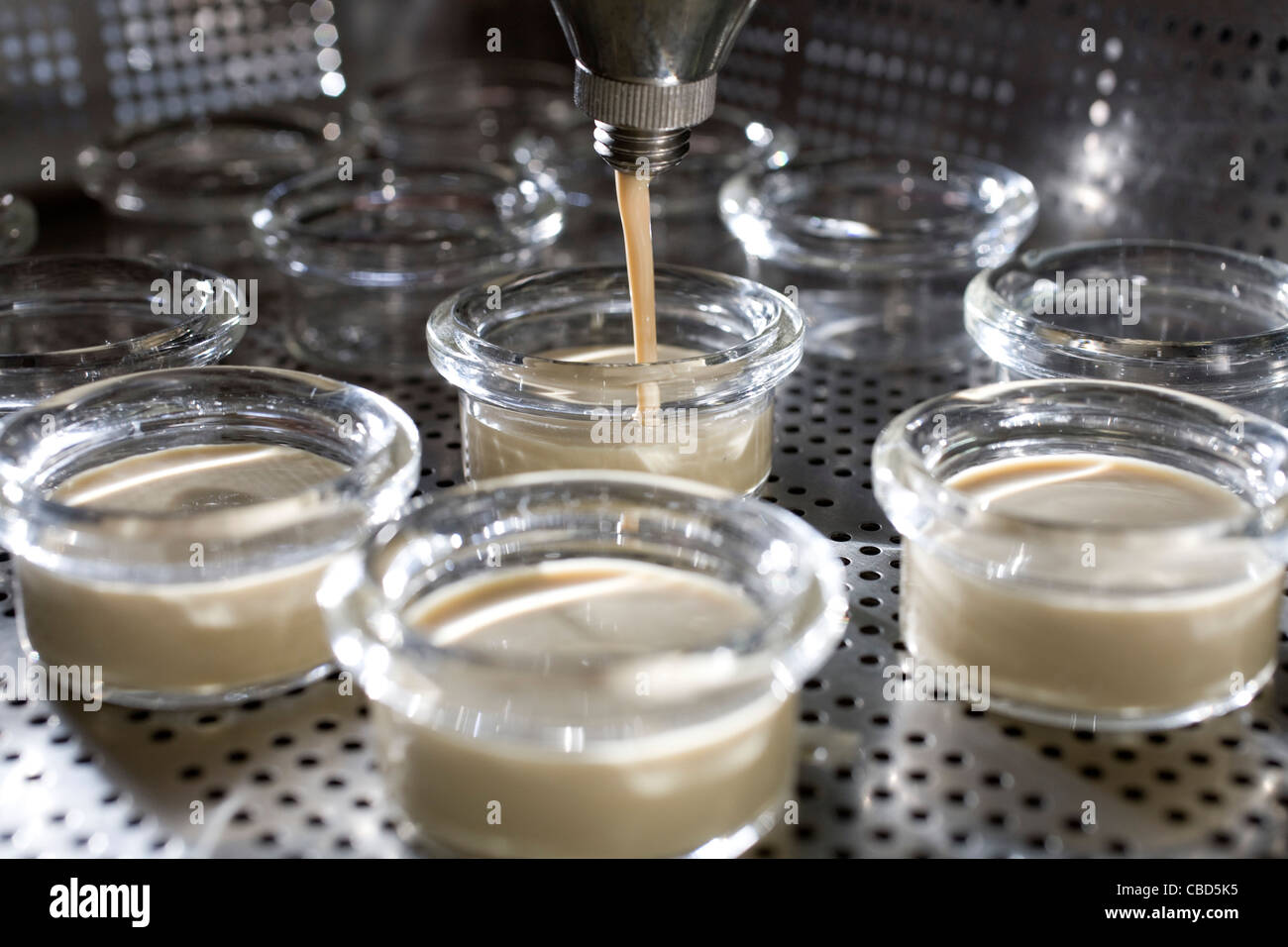 Spraying Ramekins Dispensing batter into glass ramekins, cropped Stock Photo - Alamy