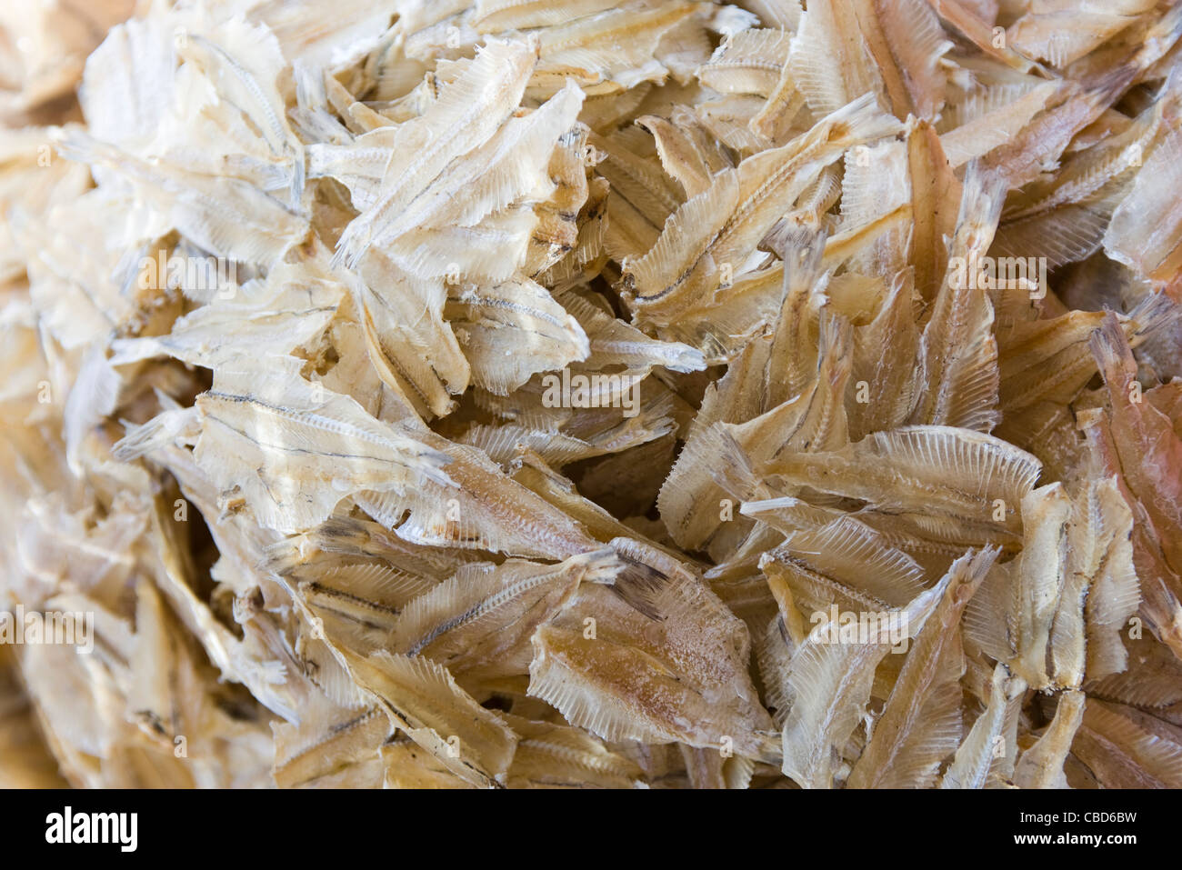 Dried fish bones Stock Photo Alamy