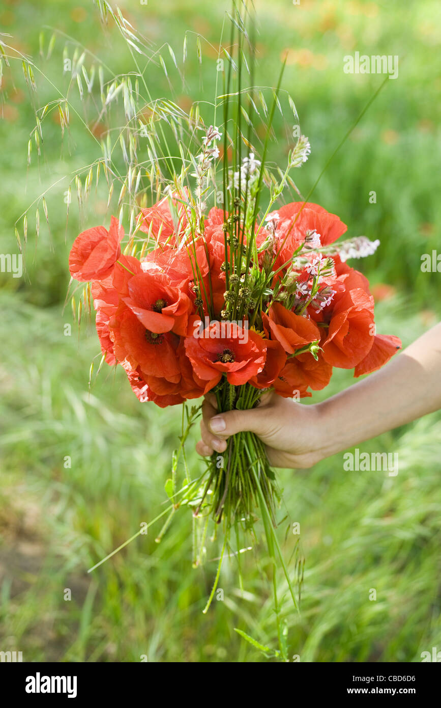 Person holding bouquet of fresh poppies and wildflowers Stock Photo