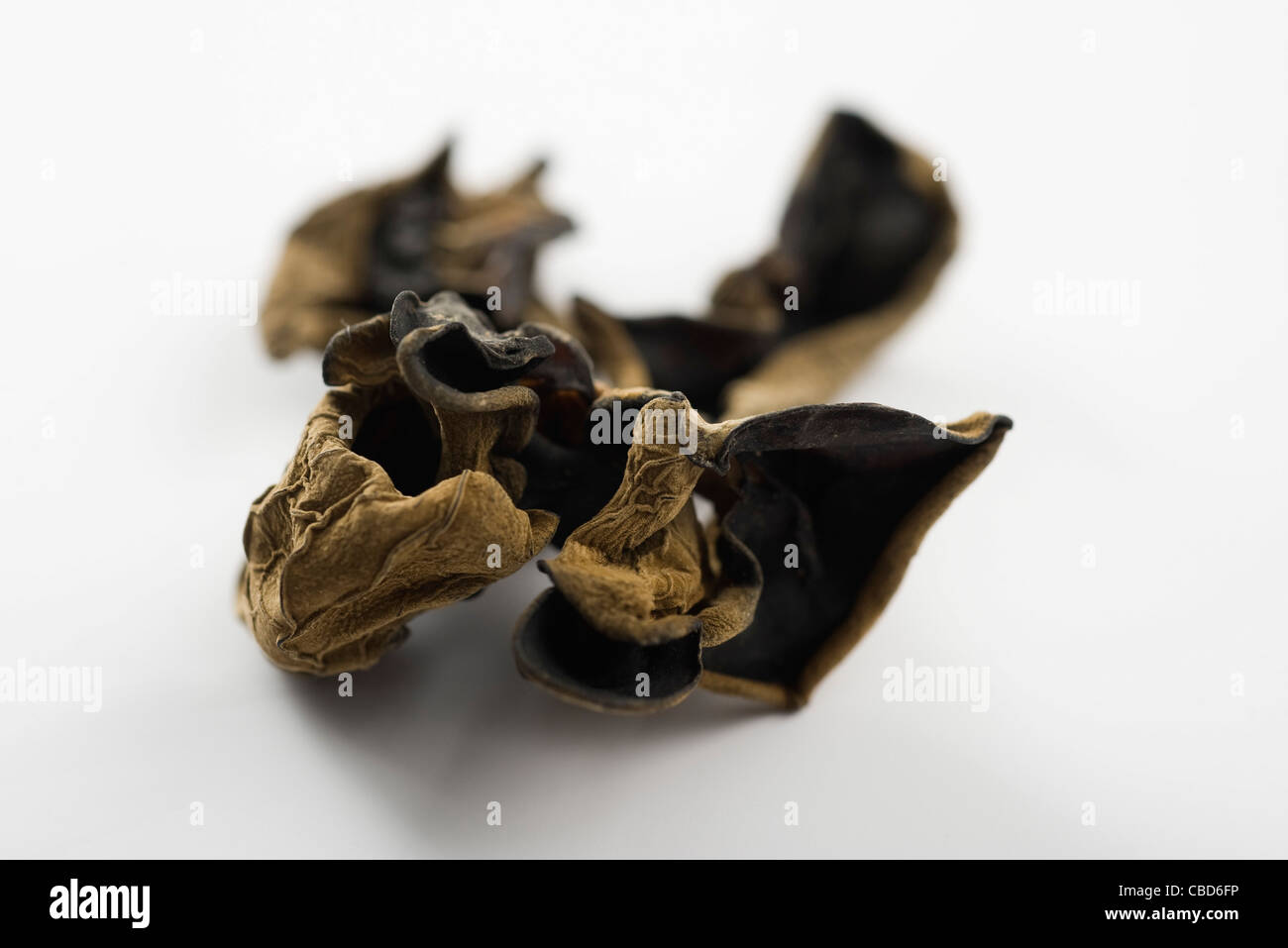 Dried wood ears (Auricularia polytricha Stock Photo Alamy