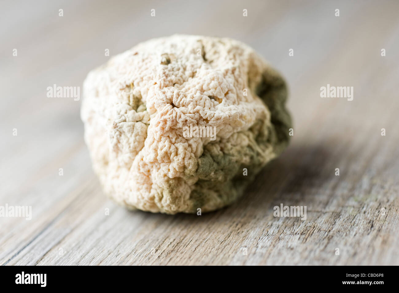 Moldy fruit Stock Photo