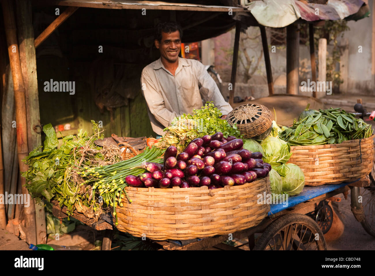 India, West Bengal, Kolkata, Rabindra Sarovar, roadside vegetable stall, smiling vendor Stock Photo