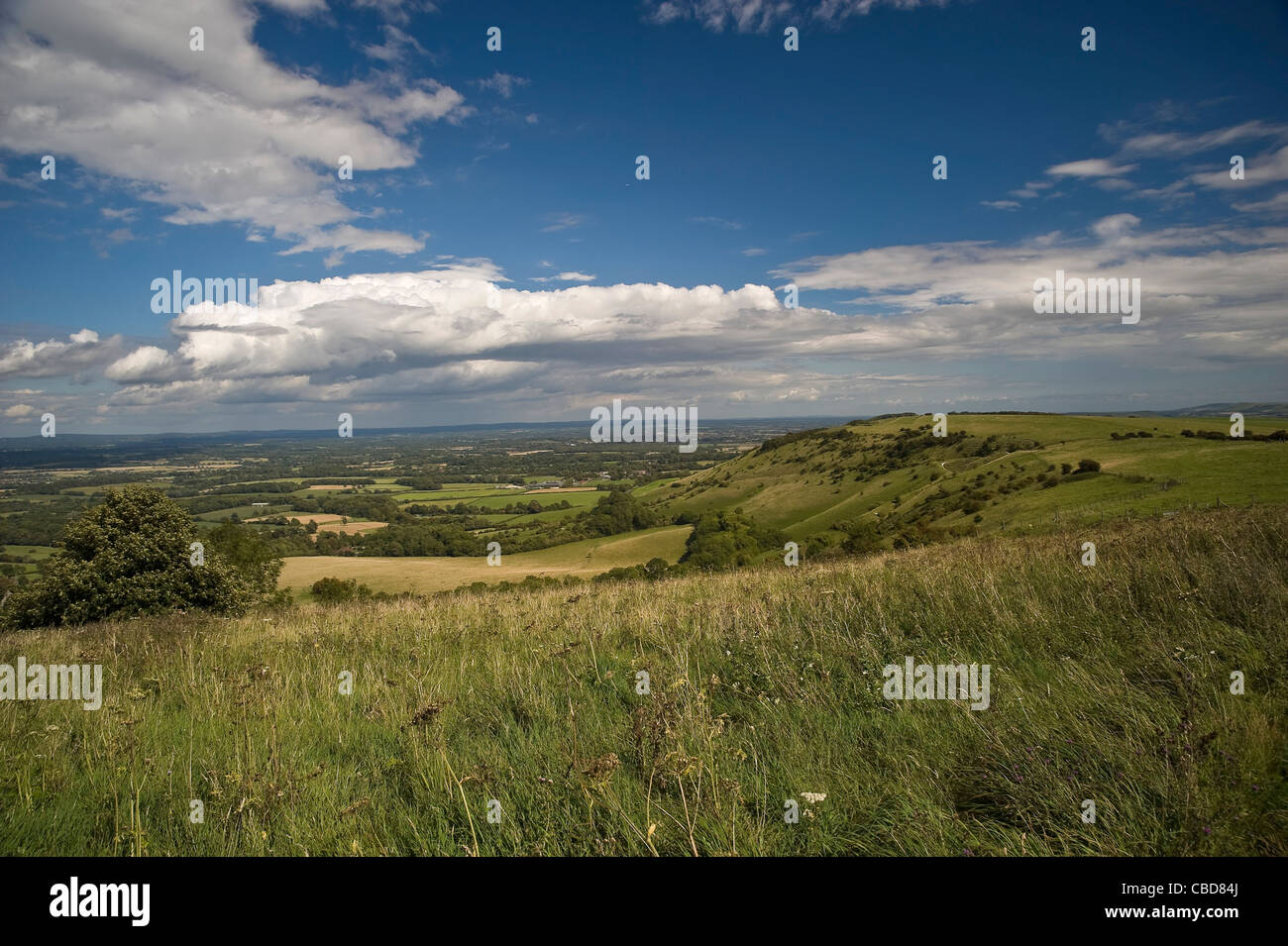 The South Downs at Ditchling Beacon, East Sussex, UK Stock Photo - Alamy