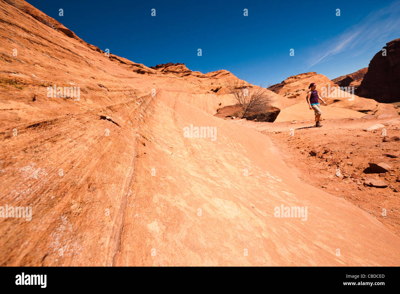 Hiker on White House Ruin Trail, Canyon de Chelly National Monument