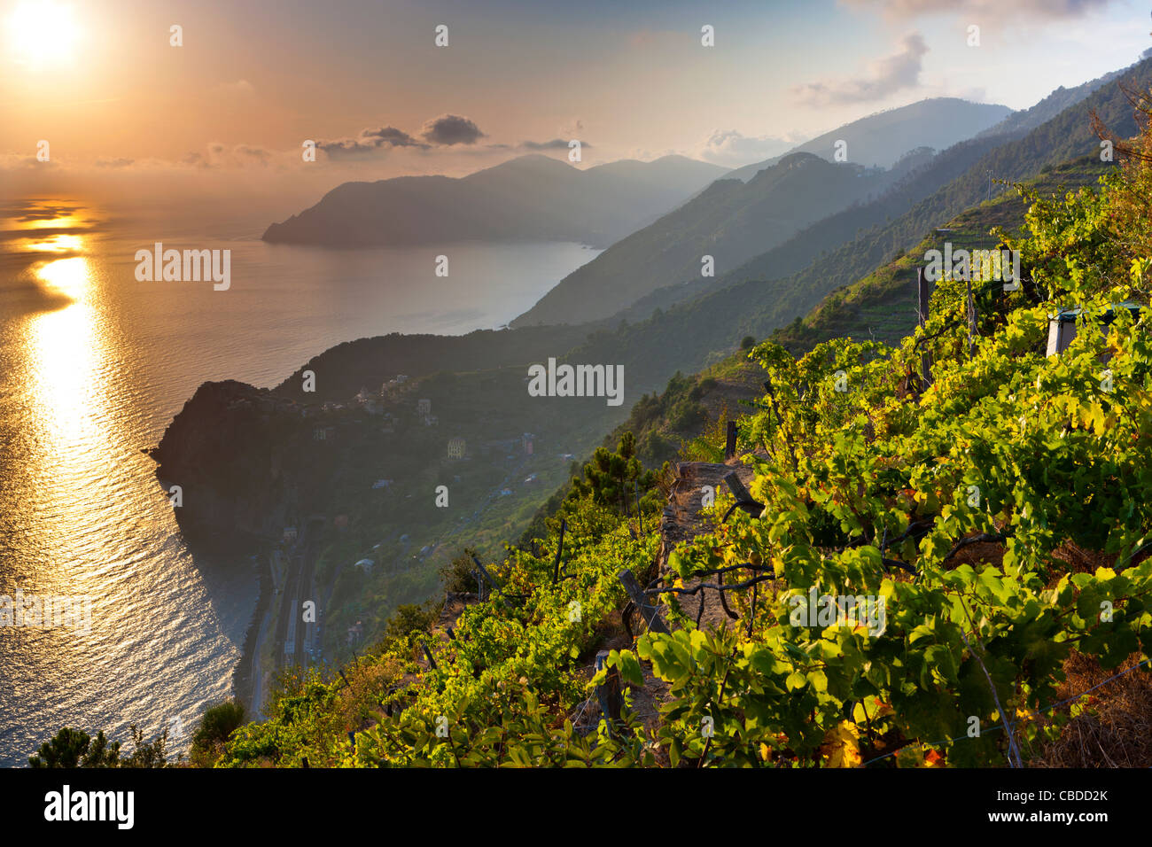 Sunset over Corniglia, Cinque Terre National Park, Province of La Spezia, Liguria, Italy, Europe Stock Photo