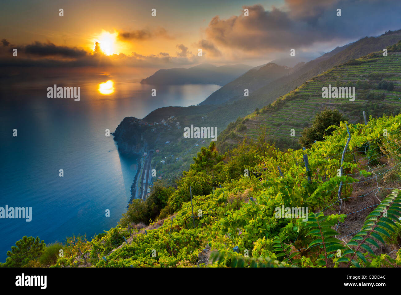 Sunset over Corniglia, Cinque Terre National Park, Province of La Spezia, Liguria, Italy, Europe Stock Photo
