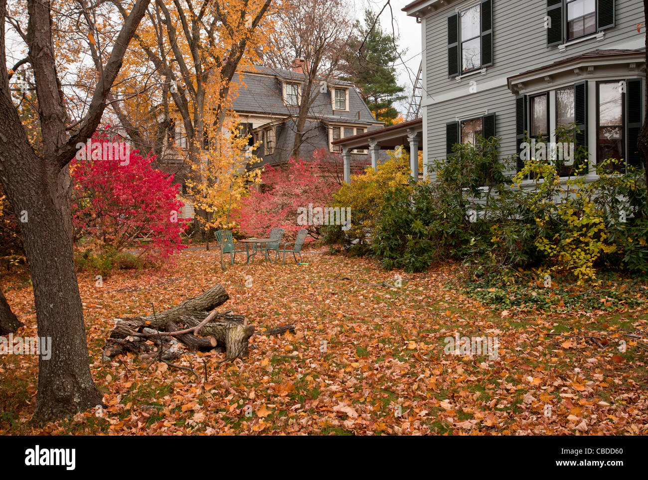 Attractive garden in autumn (fall) in Cambridge, Mass; USA Stock Photo