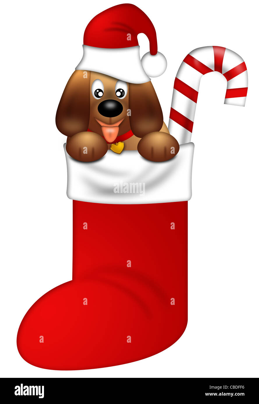 Cute Puppy Dog with Santa Hat in Stocking Isolated on White Background Illustration Stock Photo