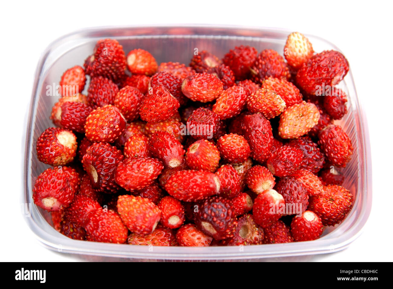 Wild strawberries hi-res stock photography and images - Alamy