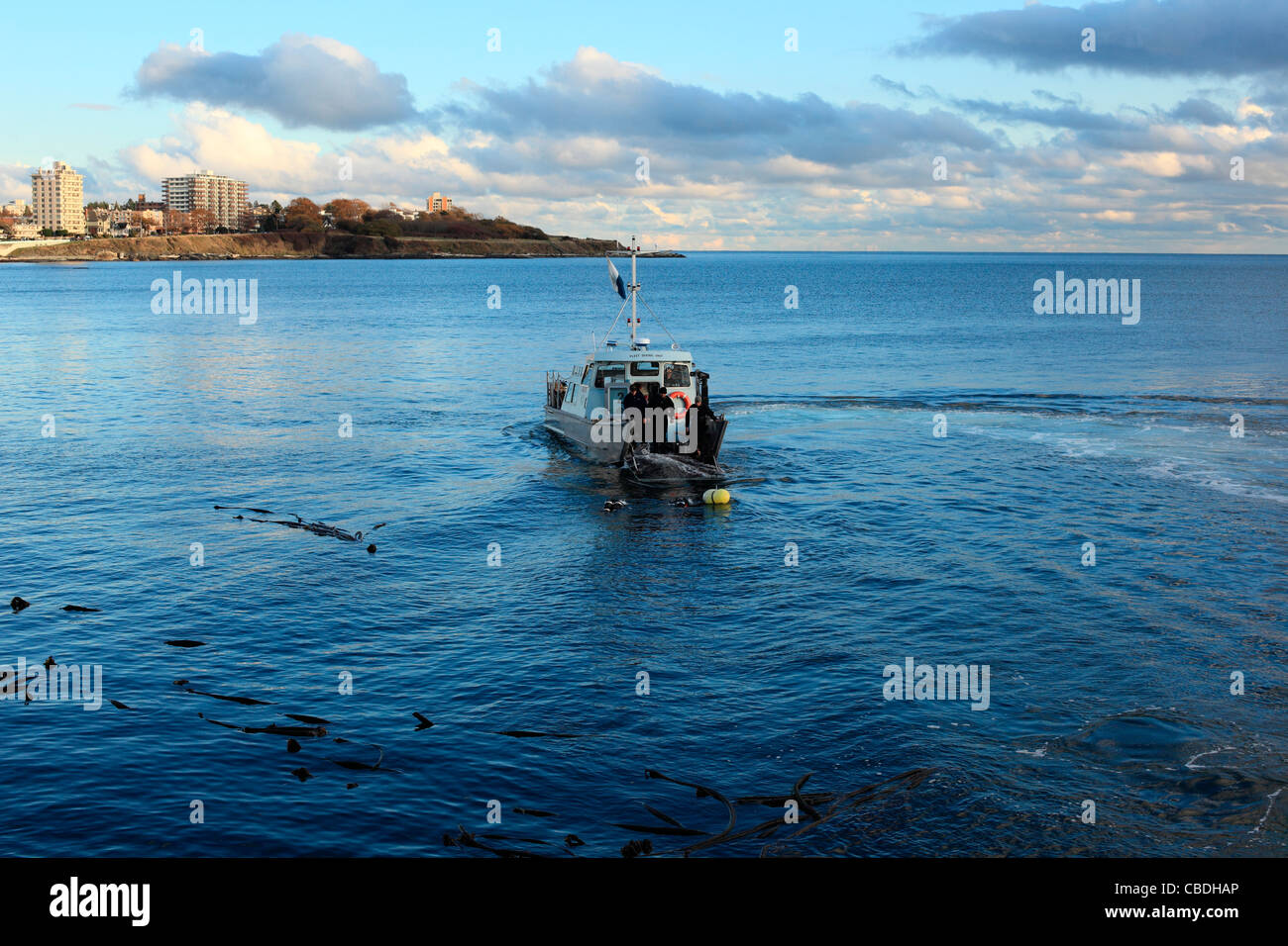 Scuba diving team hi-res stock photography and images - Alamy