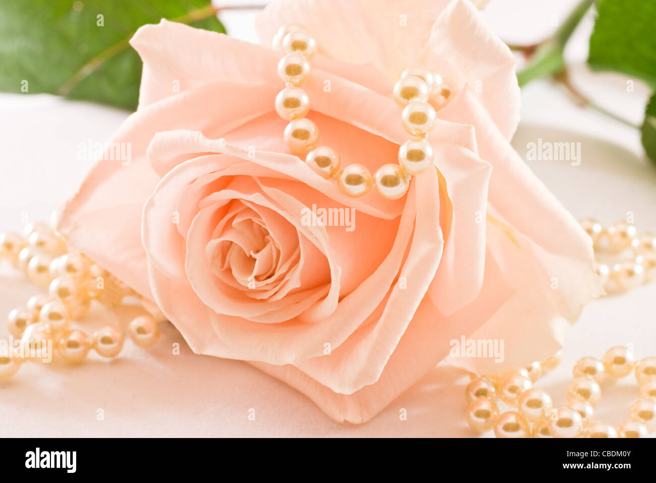 Pink Pearls Photography