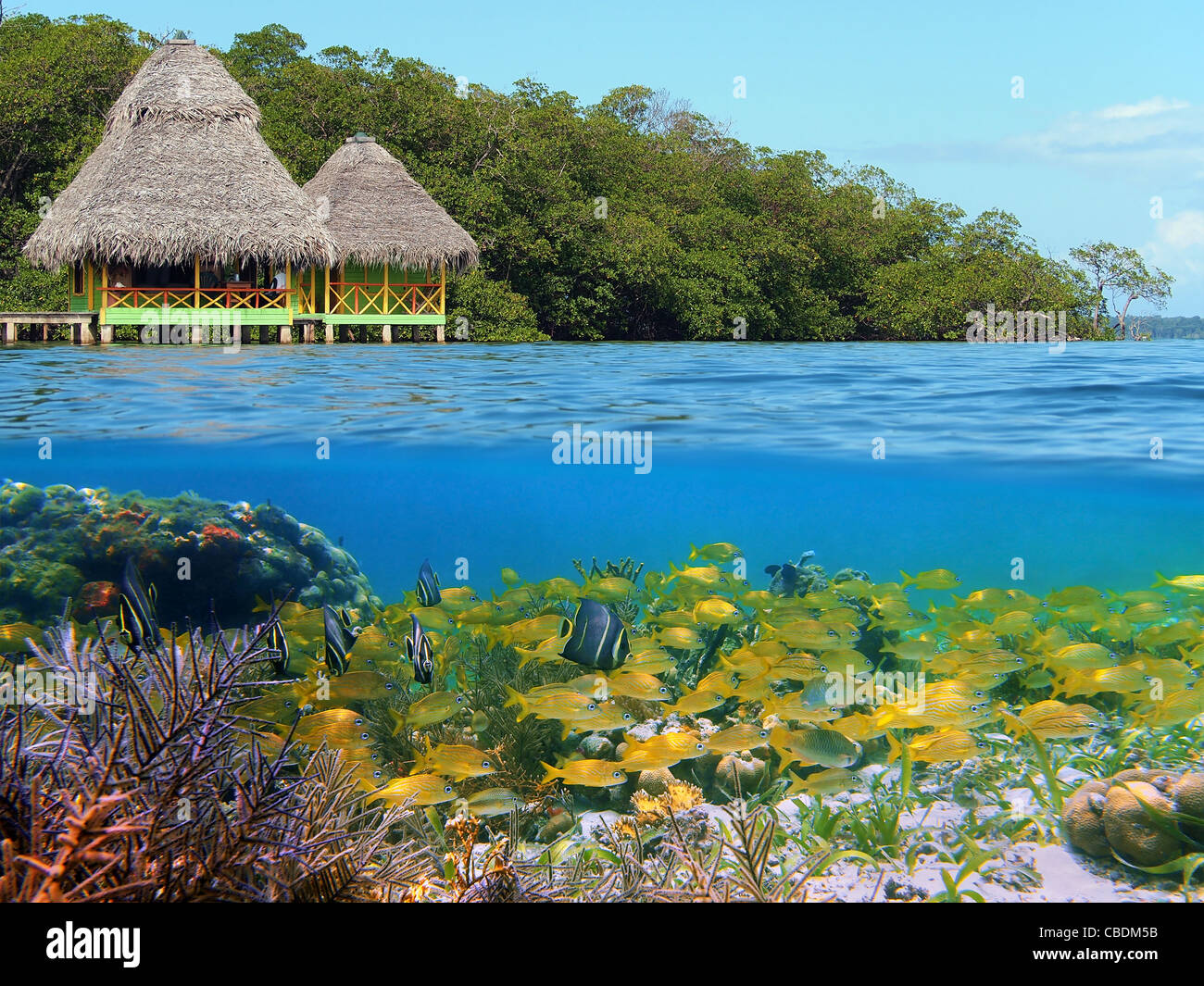 Underwater And Surface View With Cabins Over The Sea And A Coral Reef underwater-and-surface-view-with-cabins-over-the-sea-and-a-coral-reef