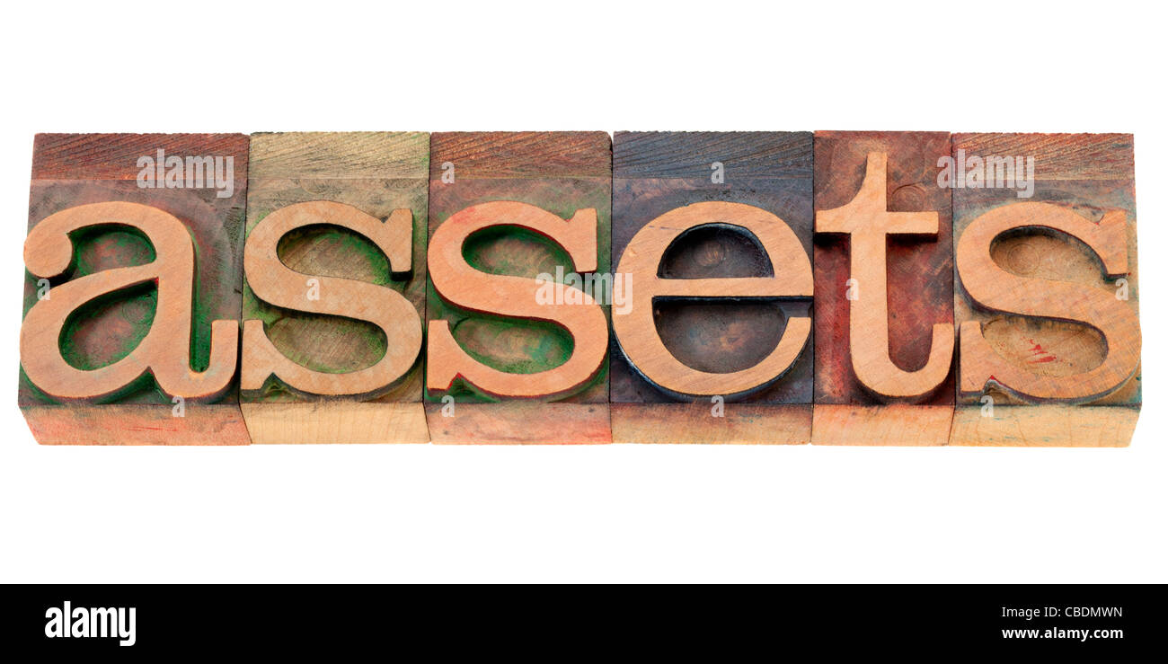assets - isolated word in vintage wood letterpress printing blocks Stock Photo