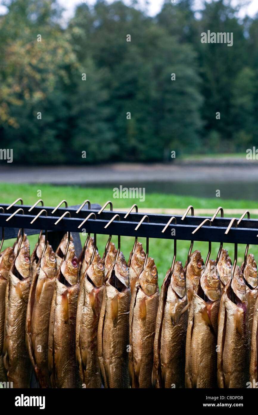 Smoked brook trout in front of a fishpond and a forest Stock Photo