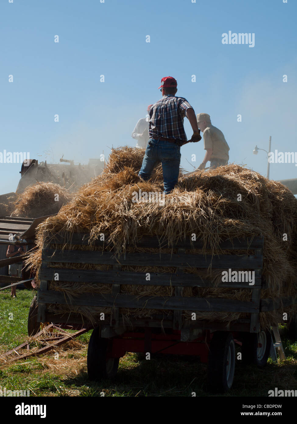 Men harvesting hay with old farm equipment Stock Photo - Alamy