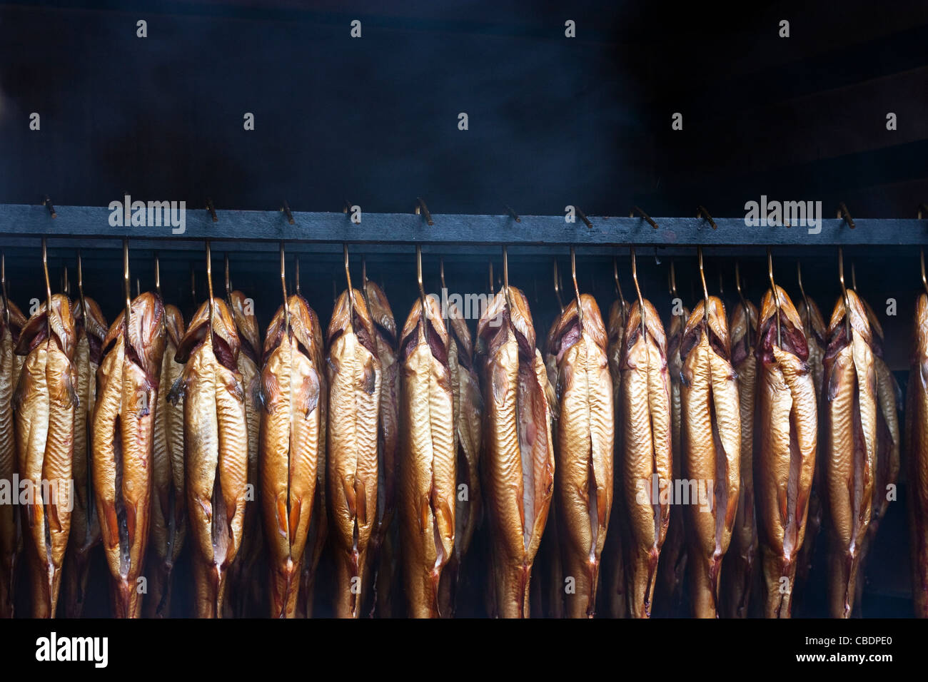 Smoking brook trout fish in an traditional oven Stock Photo