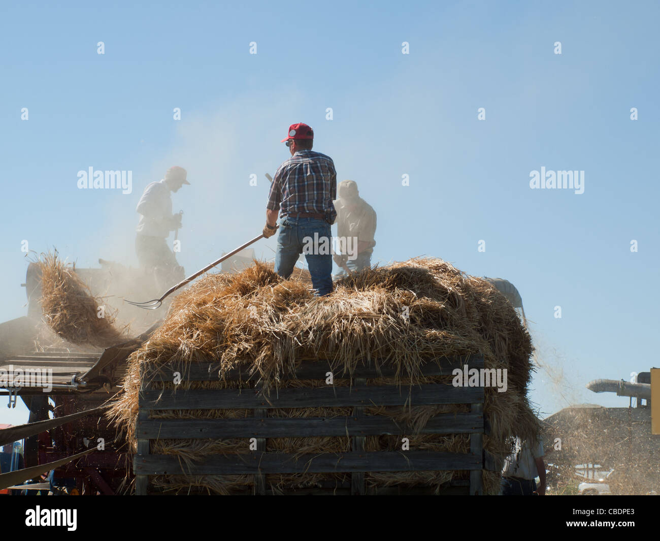 Men harvesting hay with old farm equipment Stock Photo - Alamy